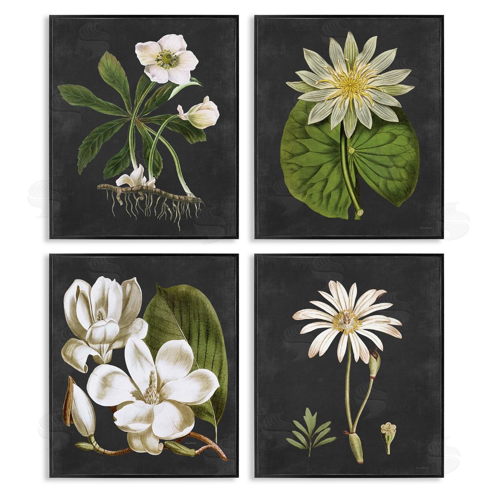 Lettered and Lined Vintage White Florals over Distressed Black Framed Giclee Wall Art Print