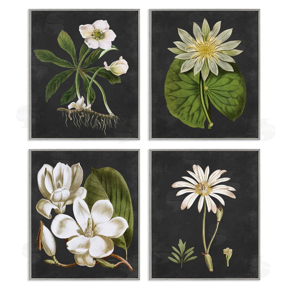 Lettered and Lined Vintage White Florals over Distressed Gray Framed Giclee Wall Art Print