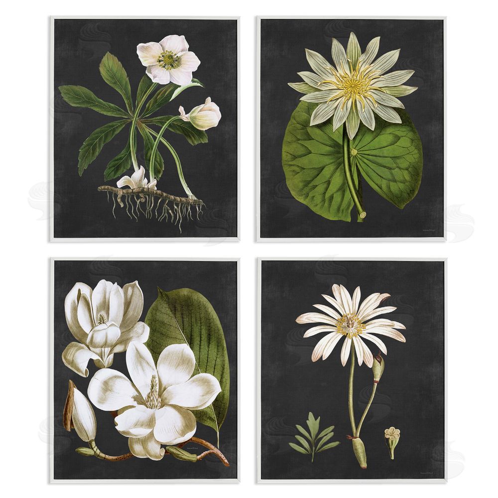 Lettered and Lined Vintage White Florals over Distressed White Framed Giclee Wall Art Print