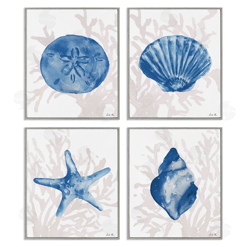 Lucille Price Shells Starfish & Sand Dollar over Seaweed Gray Framed Giclee Wall Art Print