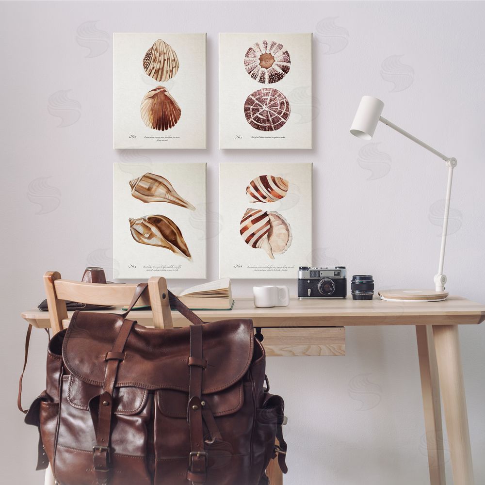 Annie Warren Elegant Beach Seashells Exquisite Marine Life  Canvas Wall Art Print in Room