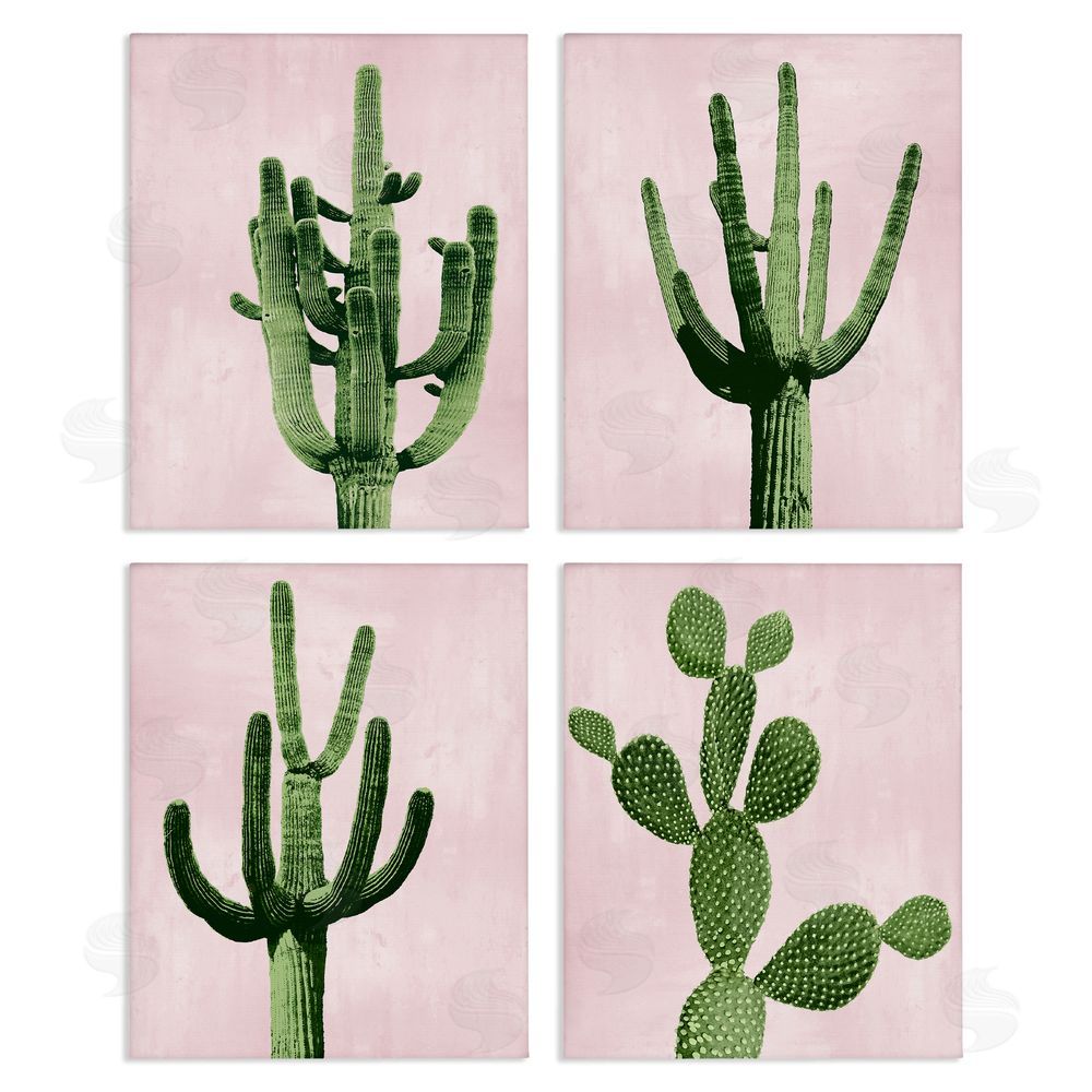 Mia Jensen Bold Pink Desert Cactus Arid Vegetation Canvas Wall Art Print