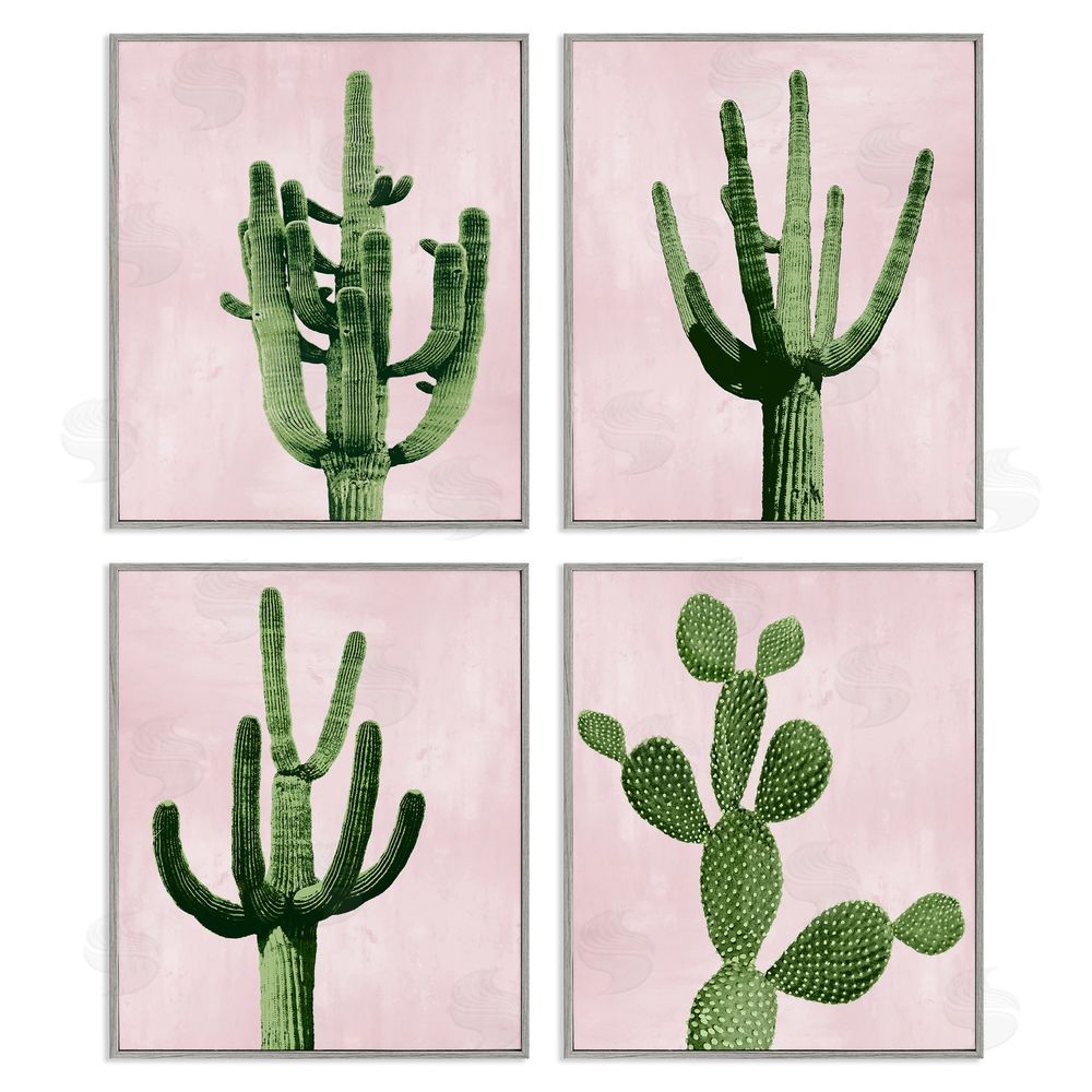 Mia Jensen Bold Pink Desert Cactus Arid Vegetation Gray Framed Giclee Wall Art Print