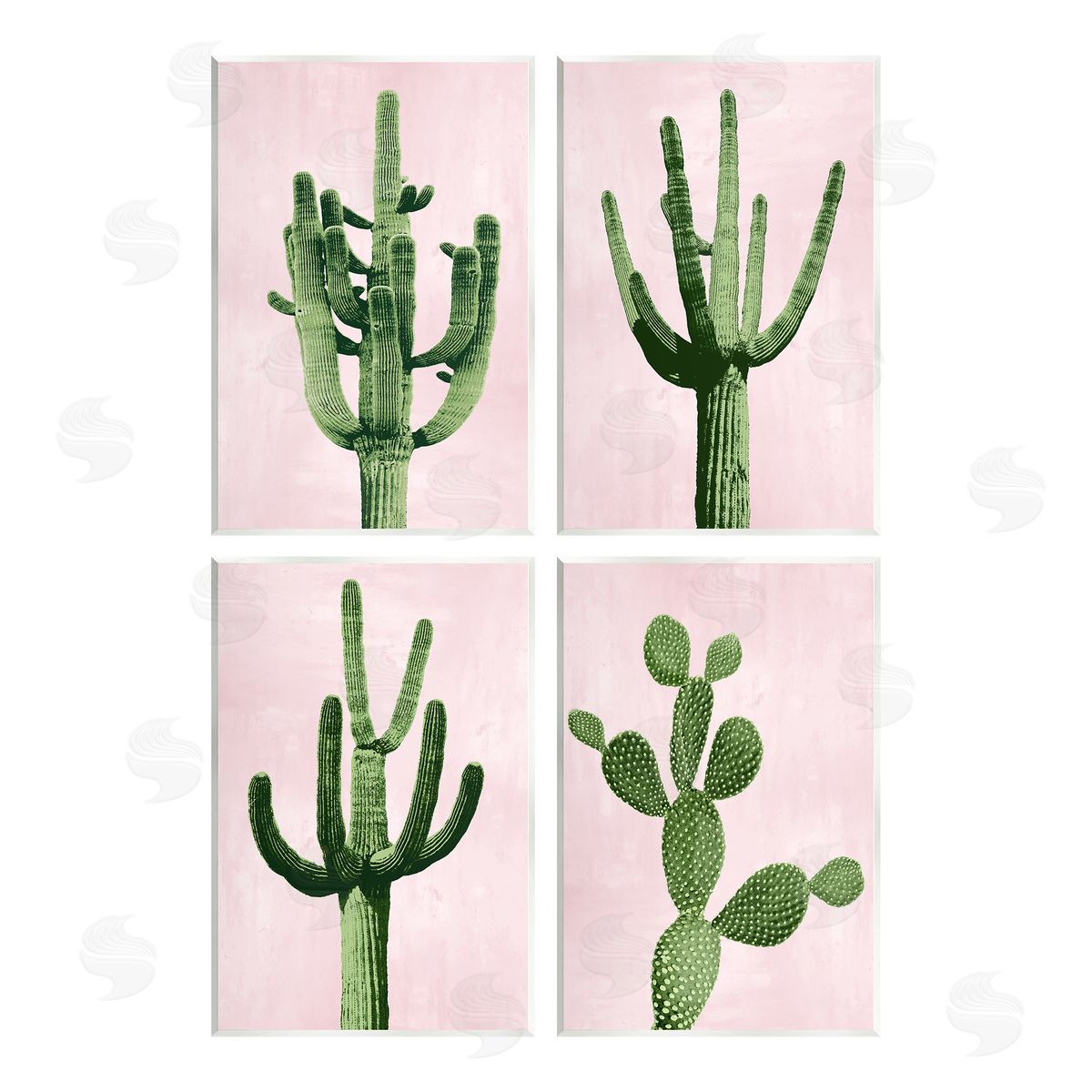 Mia Jensen Bold Pink Desert Cactus Arid Vegetation Wooden Wall Plaque Art Print