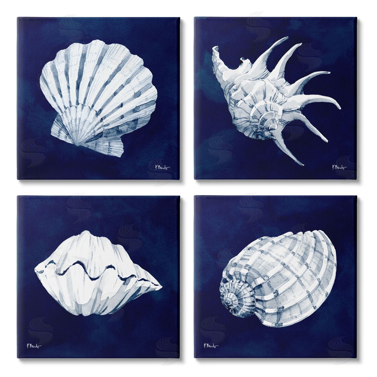Paul Brent Traditional Cyanotype Shells Canvas Wall Art Print