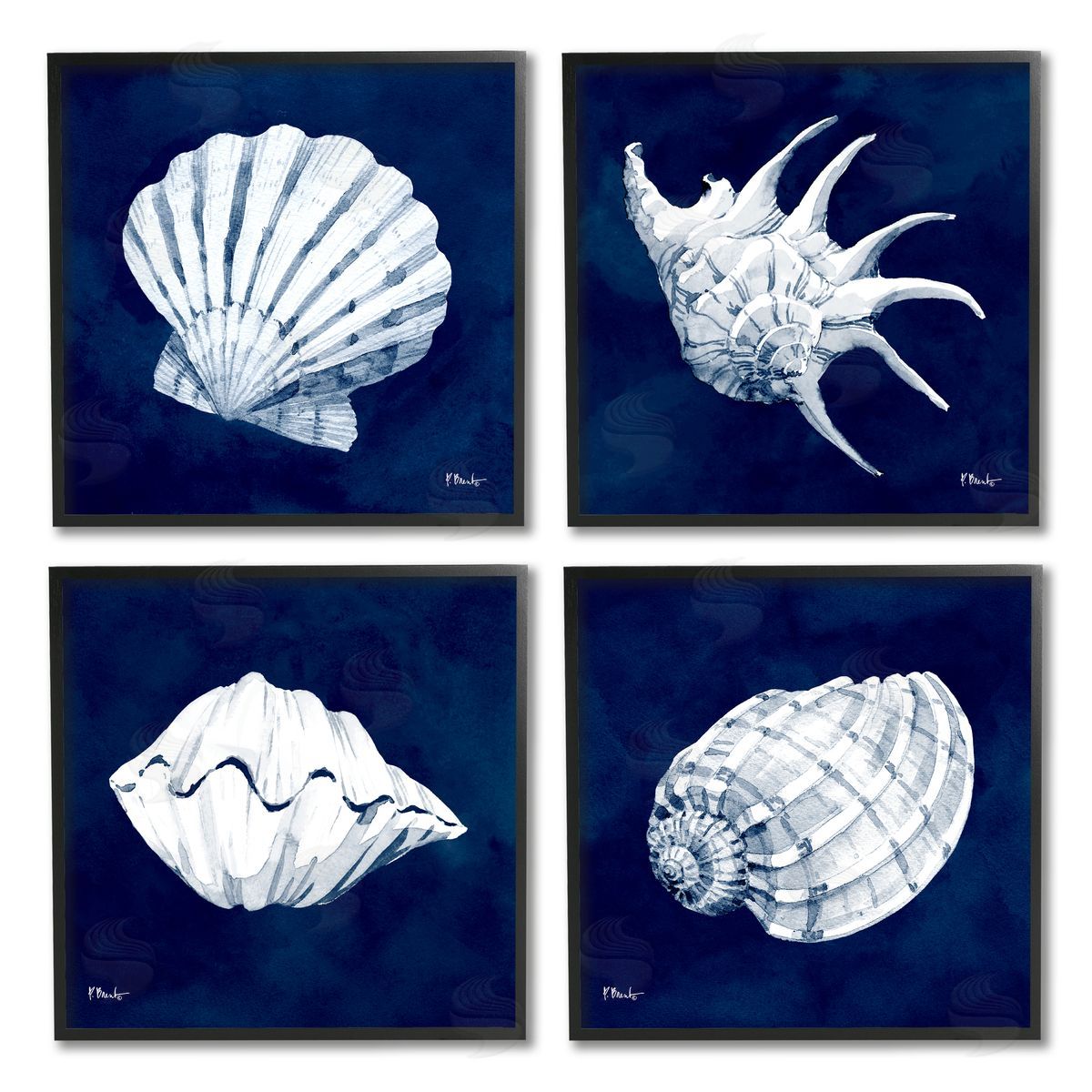 Paul Brent Traditional Cyanotype Shells Black Framed Giclee Wall Art Print