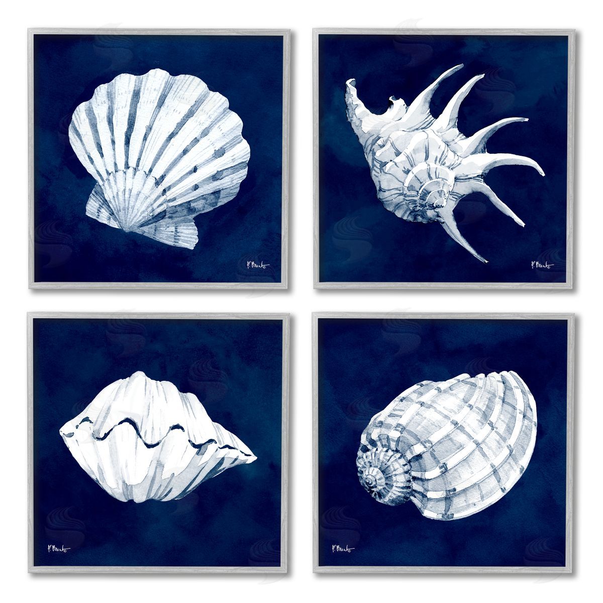 Paul Brent Traditional Cyanotype Shells Gray Framed Giclee Wall Art Print