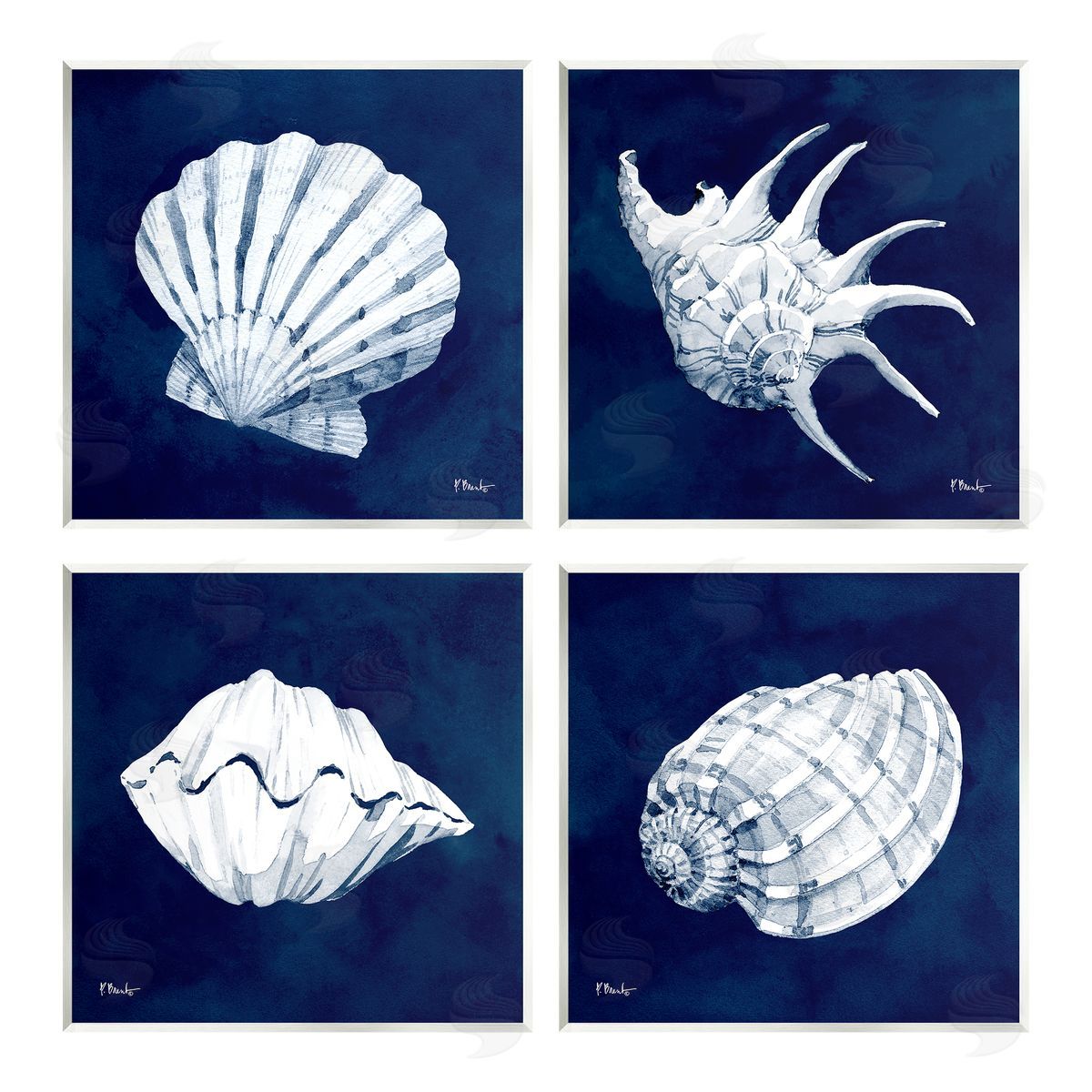Paul Brent Traditional Cyanotype Shells Wooden Wall Plaque Art Print