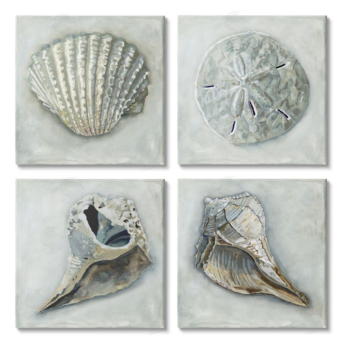 Erica Christopher Detailed Seashells Ocean Life Canvas Wall Art Print