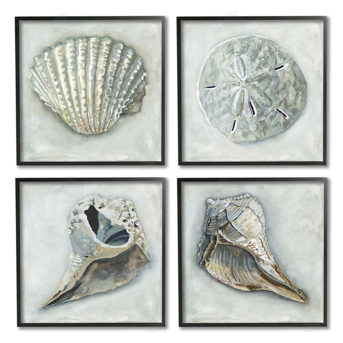 Erica Christopher Detailed Seashells Ocean Life Black Framed Giclee Wall Art Print