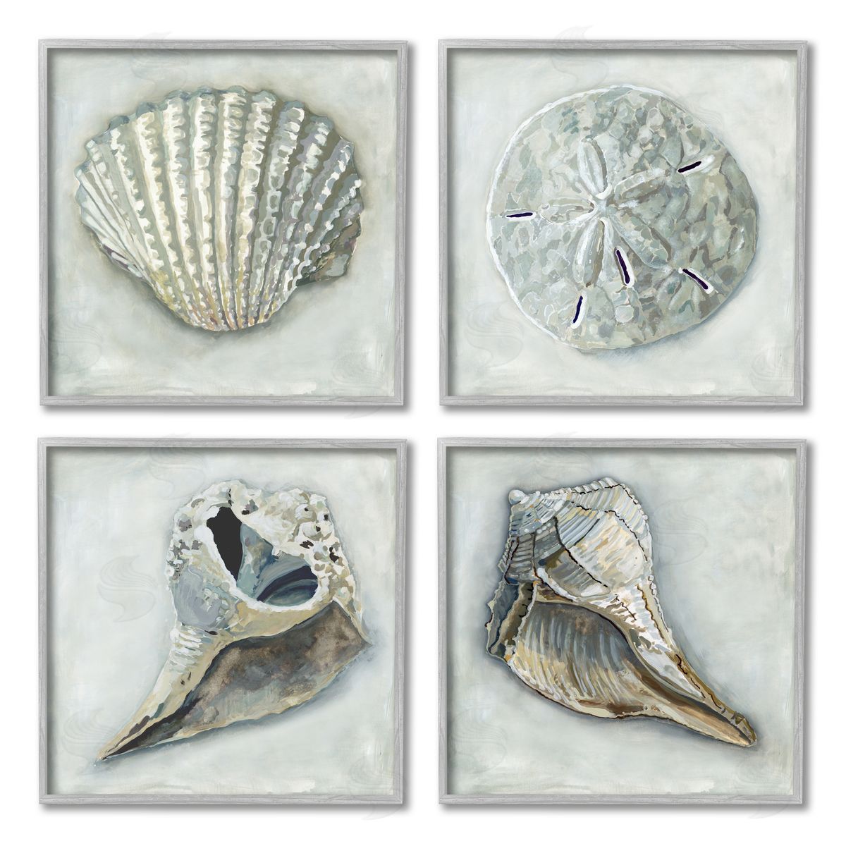 Erica Christopher Detailed Seashells Ocean Life Gray Framed Giclee Wall Art Print
