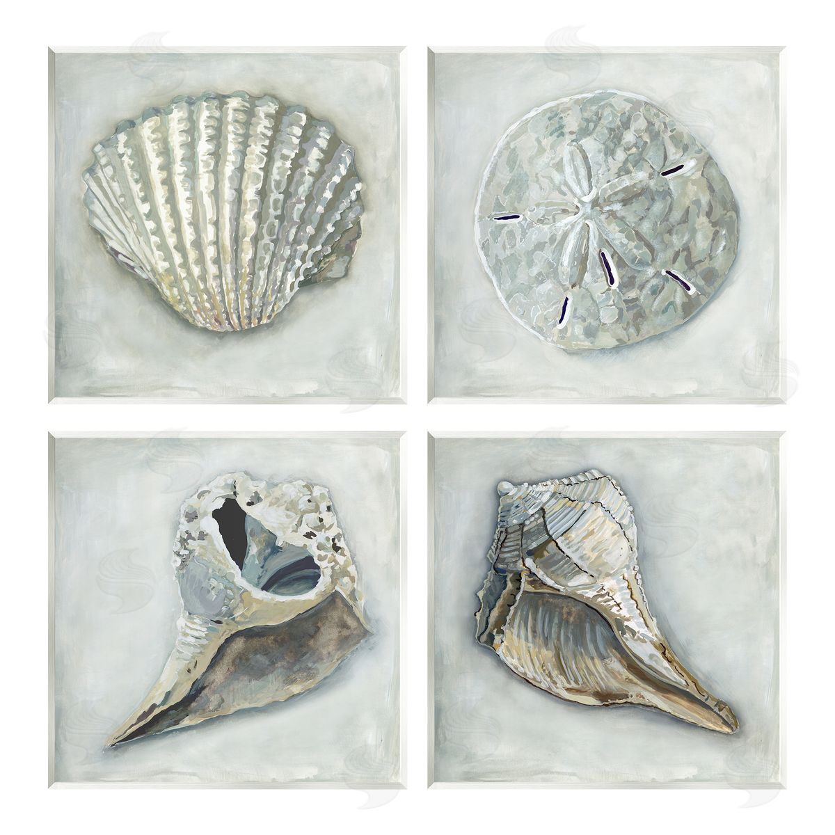 Erica Christopher Detailed Seashells Ocean Life Wooden Wall Plaque Art Print