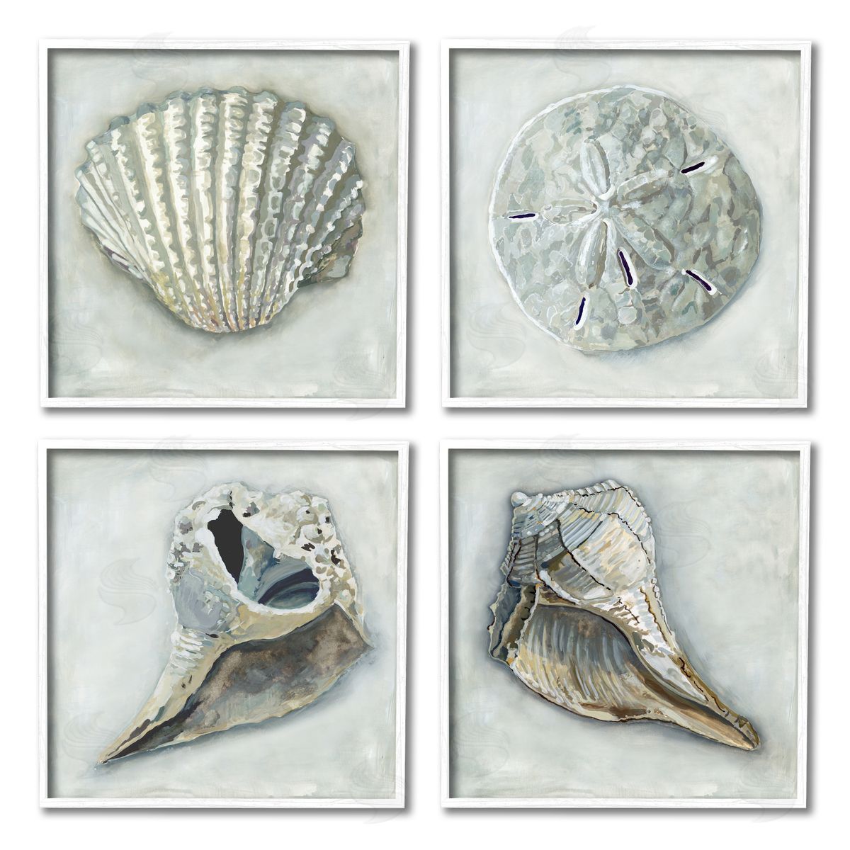 Erica Christopher Detailed Seashells Ocean Life White Framed Giclee Wall Art Print
