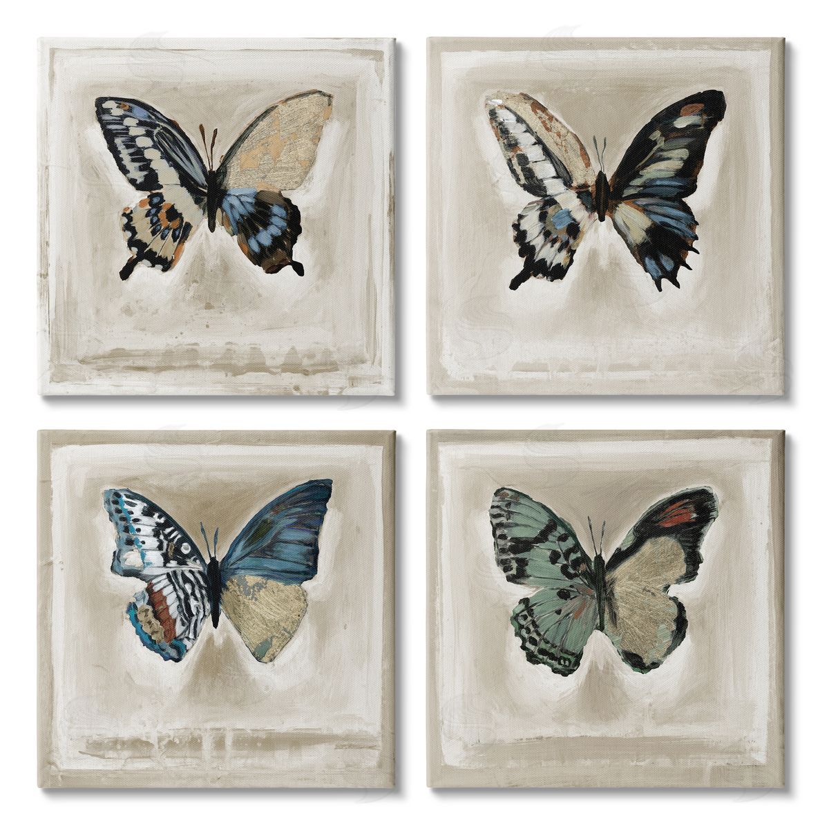 Stacy D'Aguiar Asymmetrical Butterfly Wing Patterns Canvas Wall Art Print