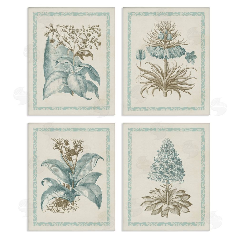 Vision Studio Botanical Herb Latin Studies Canvas Wall Art Print