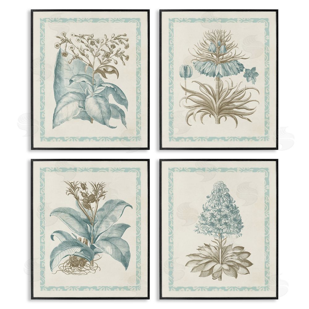 Vision Studio Botanical Herb Latin Studies Black Framed Giclee Wall Art Print