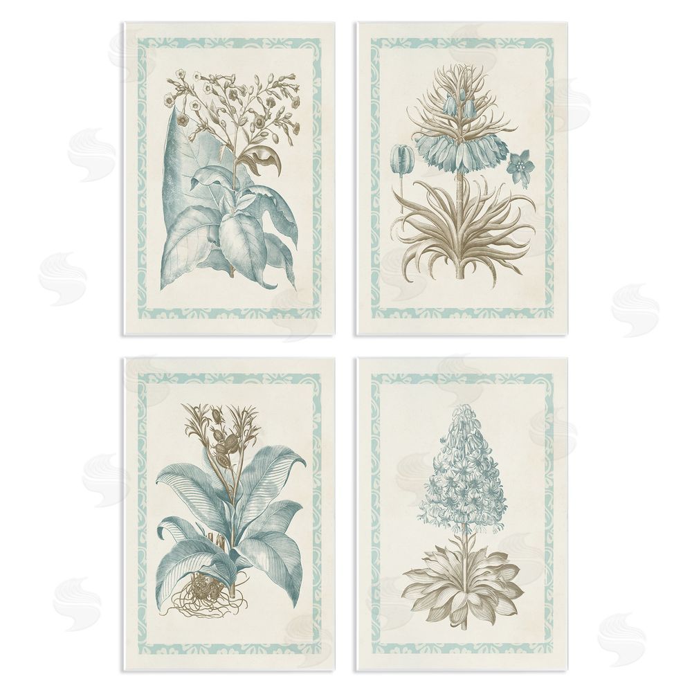 Vision Studio Botanical Herb Latin Studies Wooden Wall Plaque Art Print