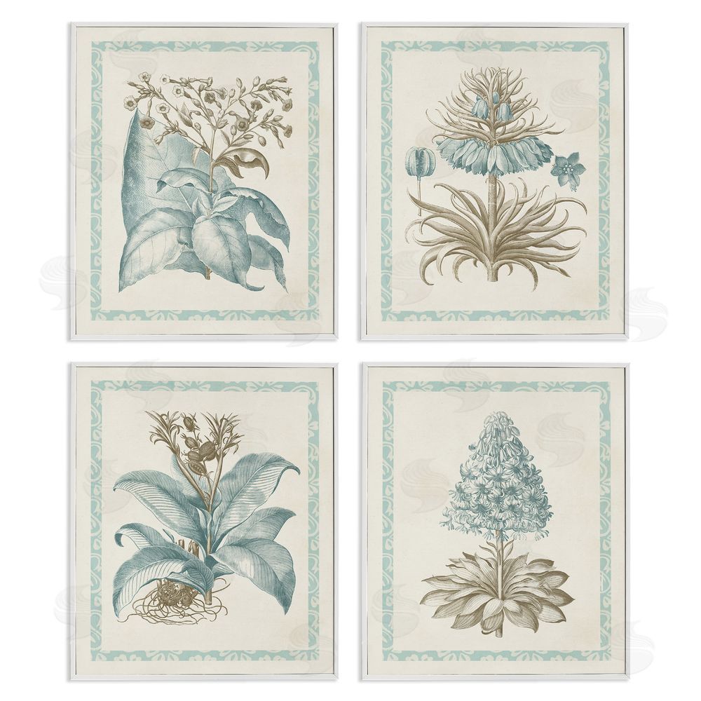 Vision Studio Botanical Herb Latin Studies White Framed Giclee Wall Art Print