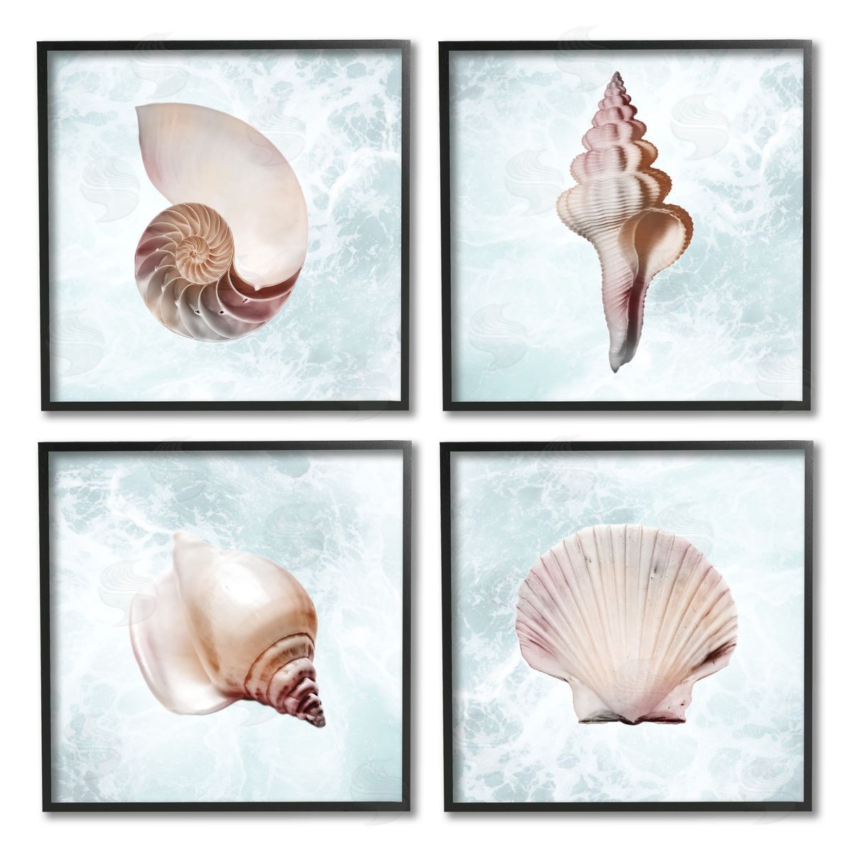 Marcus Prime Underwater Sea Life Shells Black Framed Giclee Wall Art Print