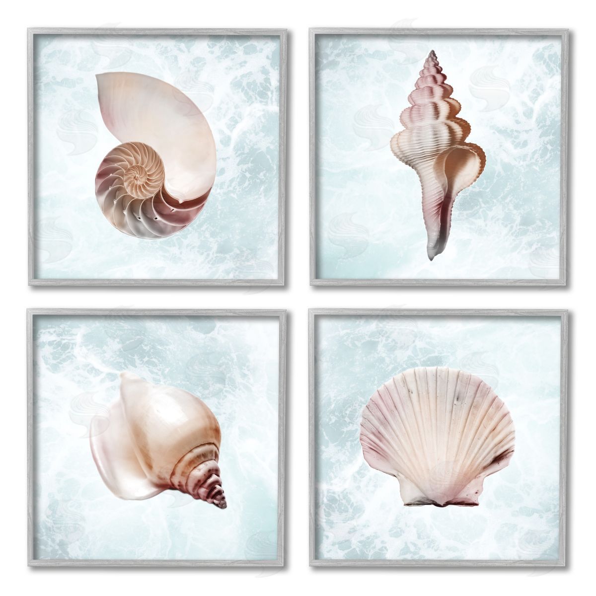 Marcus Prime Underwater Sea Life Shells Gray Framed Giclee Wall Art Print