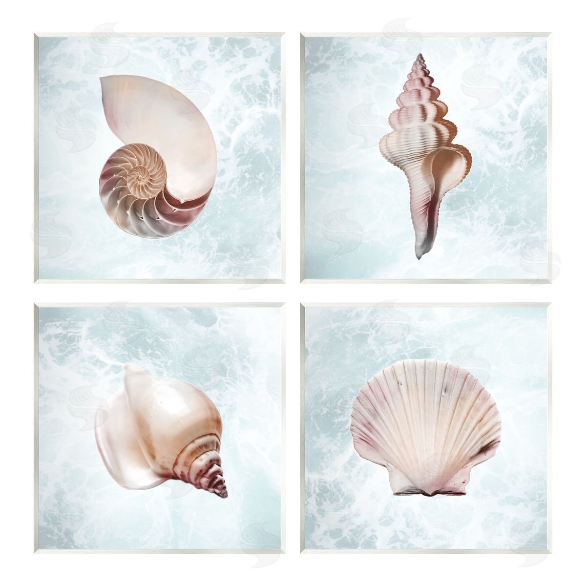 Marcus Prime Underwater Sea Life Shells Wooden Wall Plaque Art Print