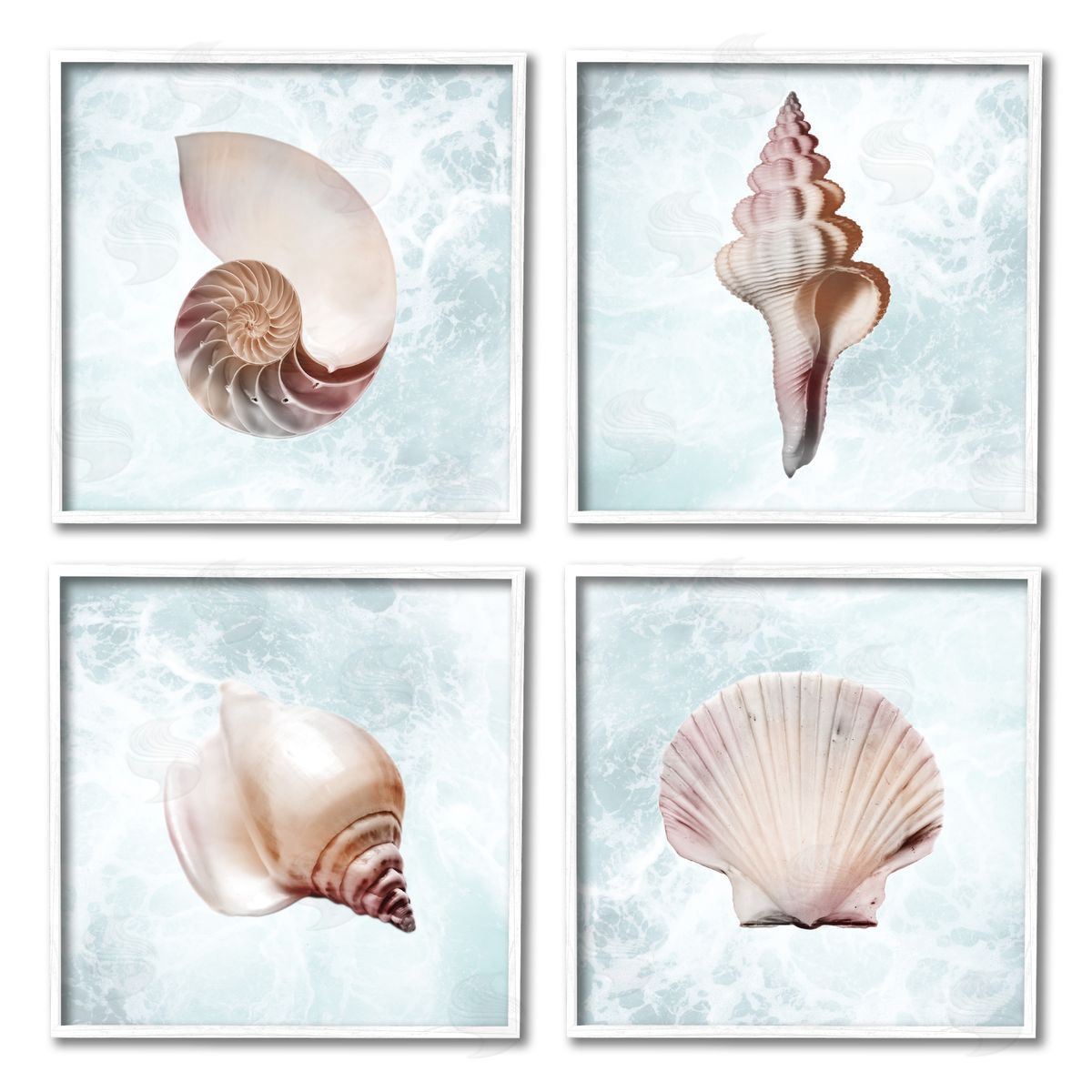 Marcus Prime Underwater Sea Life Shells White Framed Giclee Wall Art Print