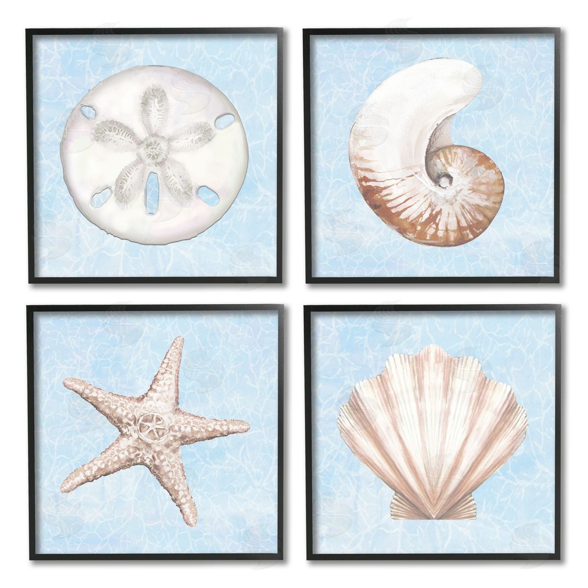 Diannart Water Patterned Sea Life Shells Black Framed Giclee Wall Art Print