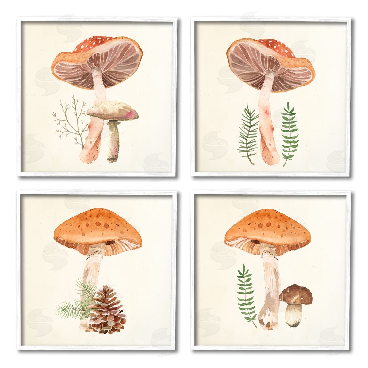 Lucca Sheppard Woodland Mushroom Botanical Sprouts White Framed Giclee Wall Art Print