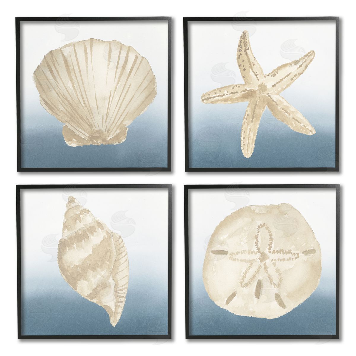 Lucille Price Maritime Seashells Ocean Beach Life Black Framed Giclee Wall Art Print
