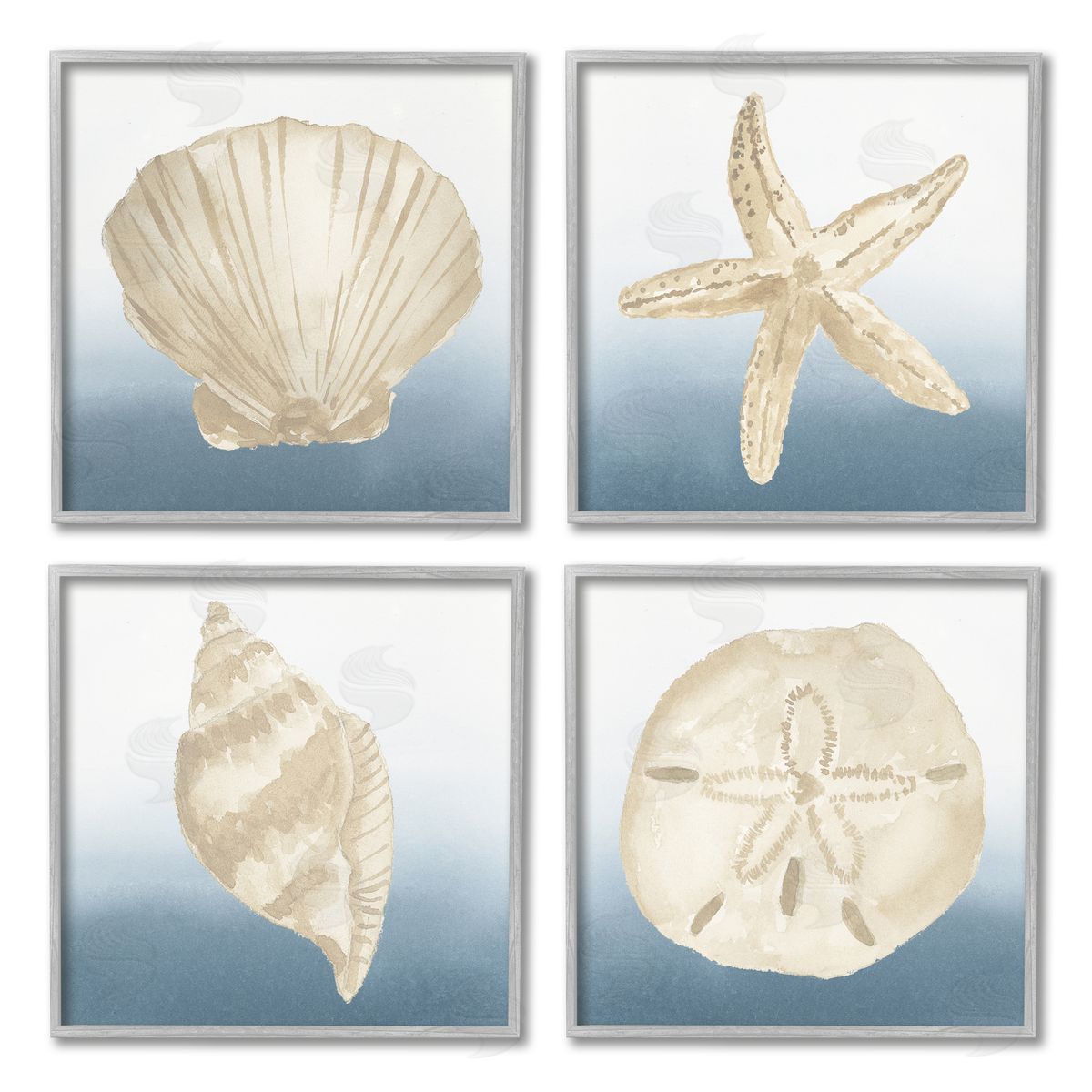 Lucille Price Maritime Seashells Ocean Beach Life Gray Framed Giclee Wall Art Print