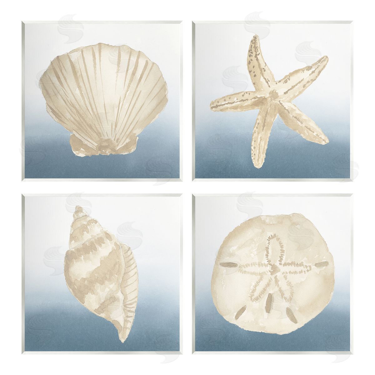 Lucille Price Maritime Seashells Ocean Beach Life Wooden Wall Plaque Art Print