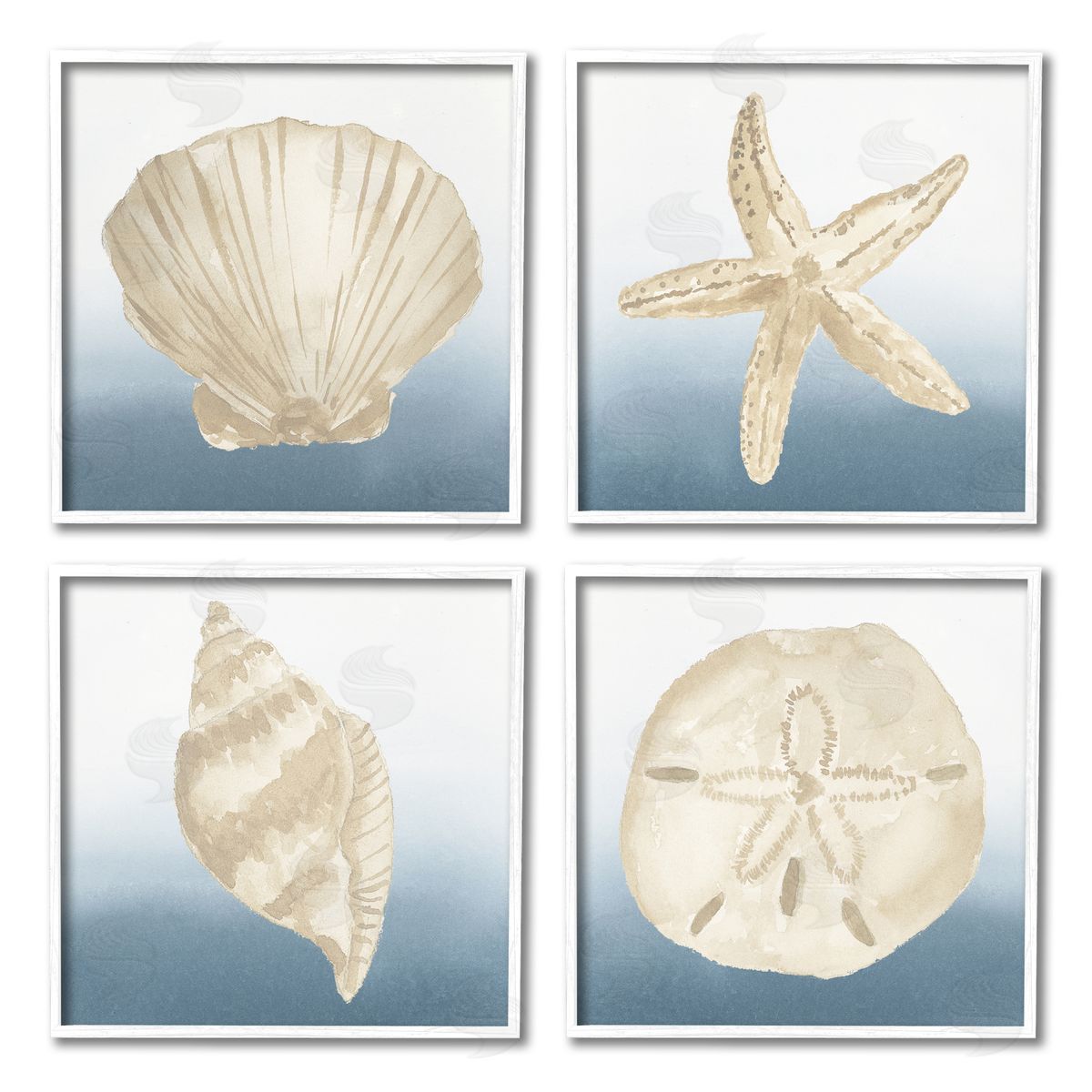 Lucille Price Maritime Seashells Ocean Beach Life White Framed Giclee Wall Art Print