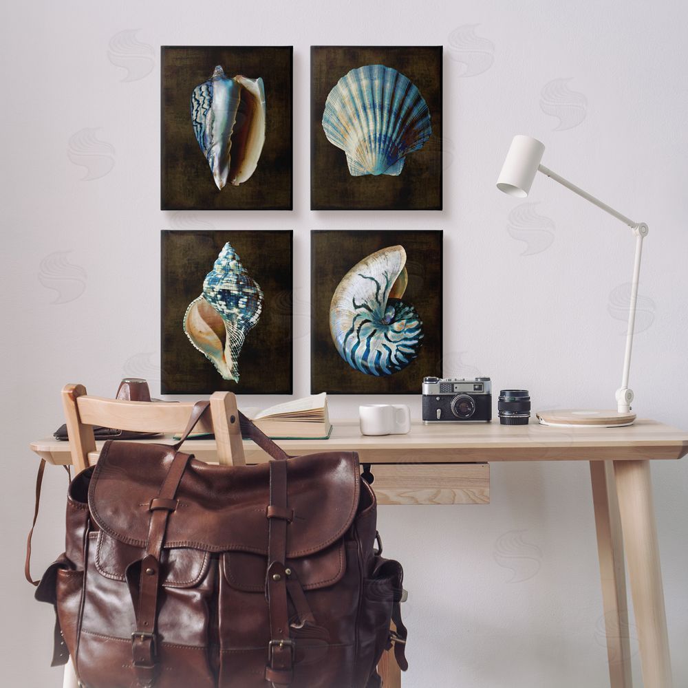 Caroline Kelly Seashells on Black Canvas Wall Art Print in Room