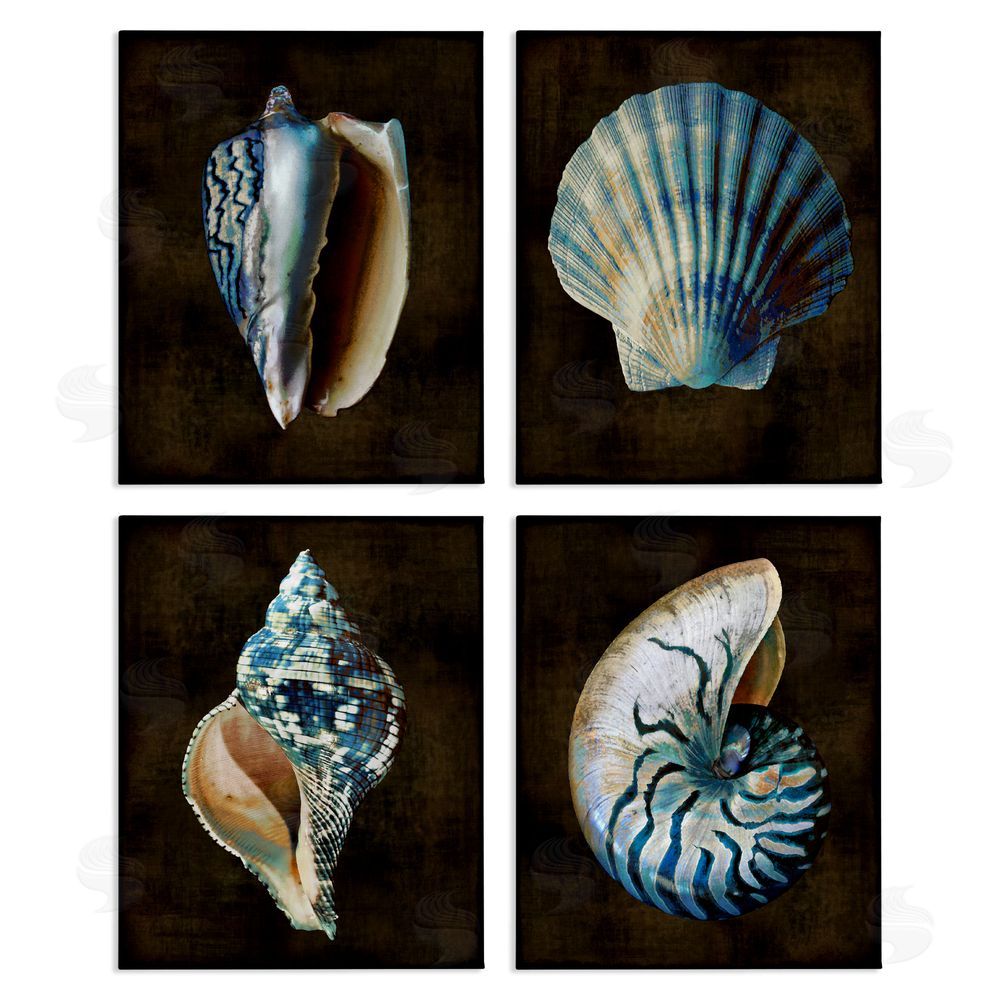 Caroline Kelly Dark Maritime Seashells Canvas Wall Art Print