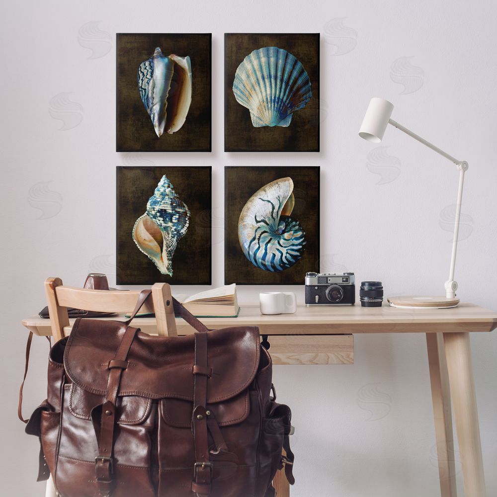 Caroline Kelly Dark Maritime Seashells Canvas Wall Art Print in Room