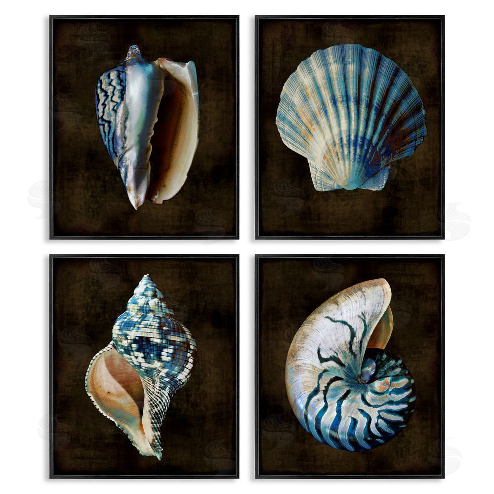 Caroline Kelly Dark Maritime Seashells Black Framed Giclee Wall Art Print