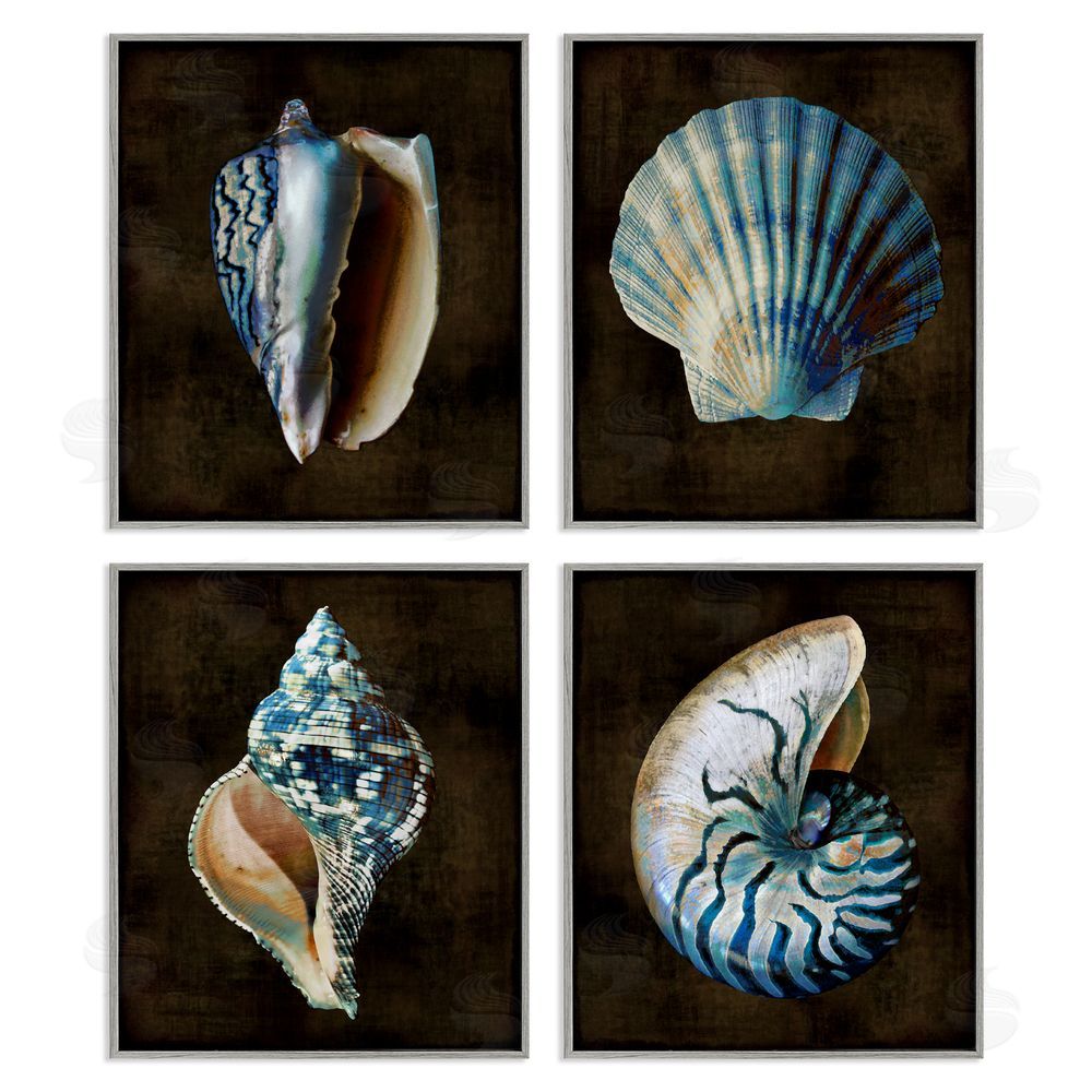 Caroline Kelly Dark Maritime Seashells Gray Framed Giclee Wall Art Print
