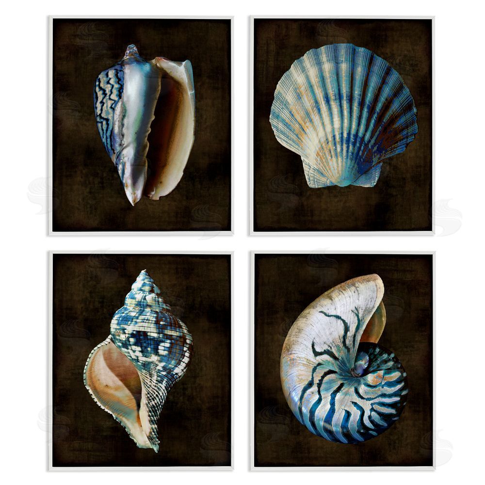 Caroline Kelly Dark Maritime Seashells White Framed Giclee Wall Art Print