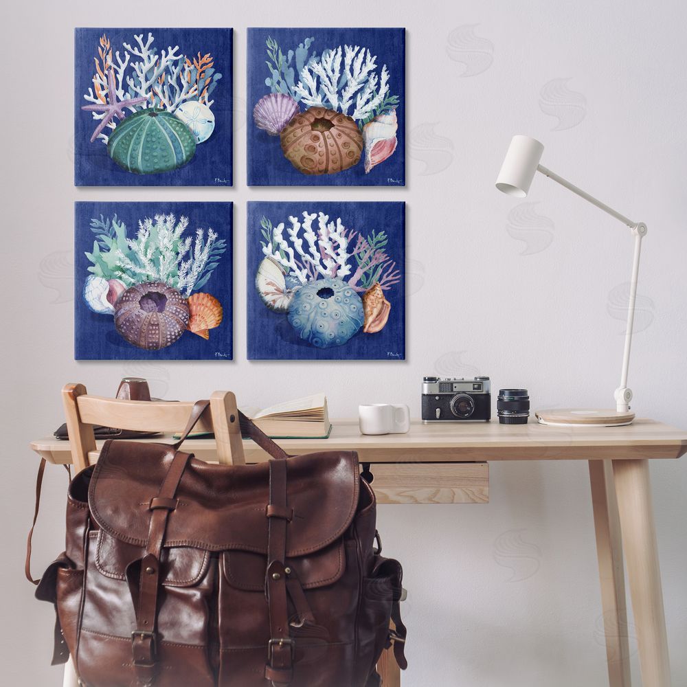 Paul Brent Aquatic Shells Still Life Canvas Wall Art Print in Room