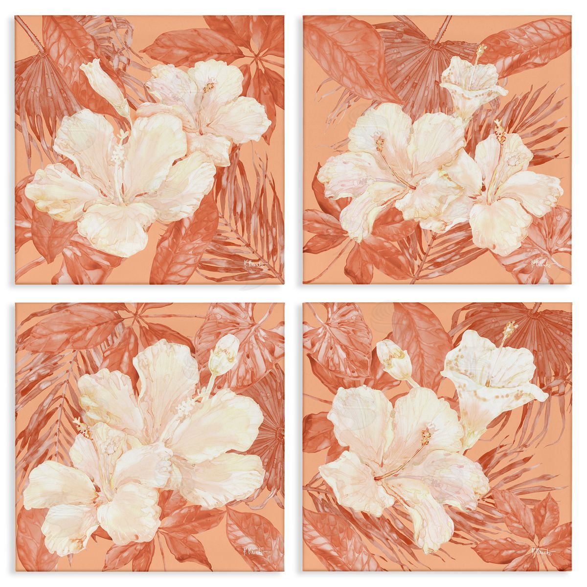 Peach Hibiscus Flowers Canvas Wall Art, Home Decor by Paul Brent