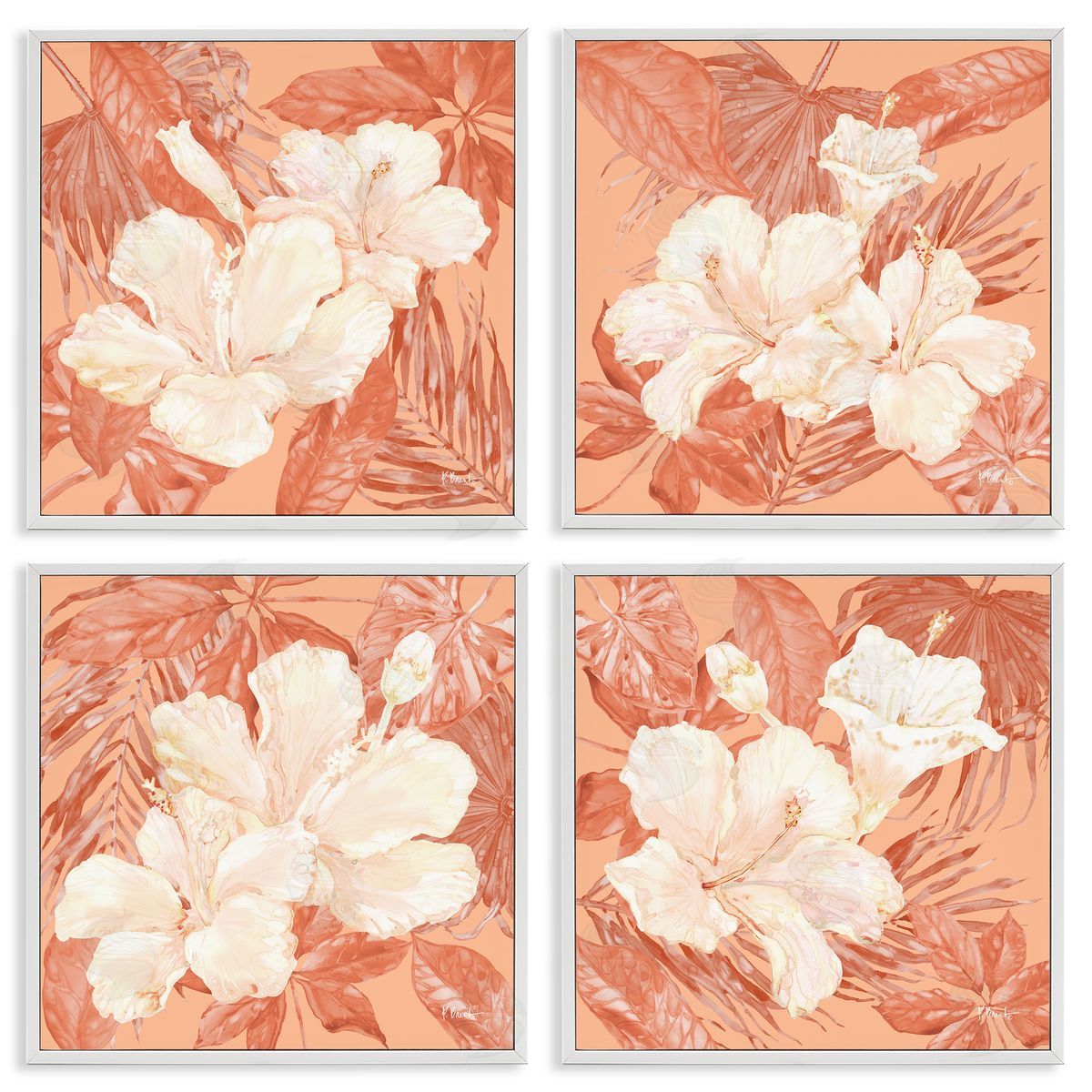 Peach Hibiscus Flowers White Frame Print Wall Art, Home Decor by Paul Brent
