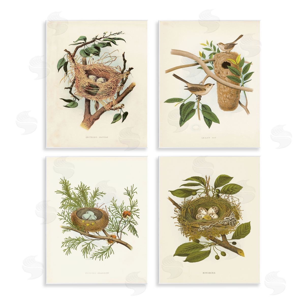 Bird Nest Forest Studies Wood Plaque Wall Art, Home Decor by Tina Higgins Designs, Inc.