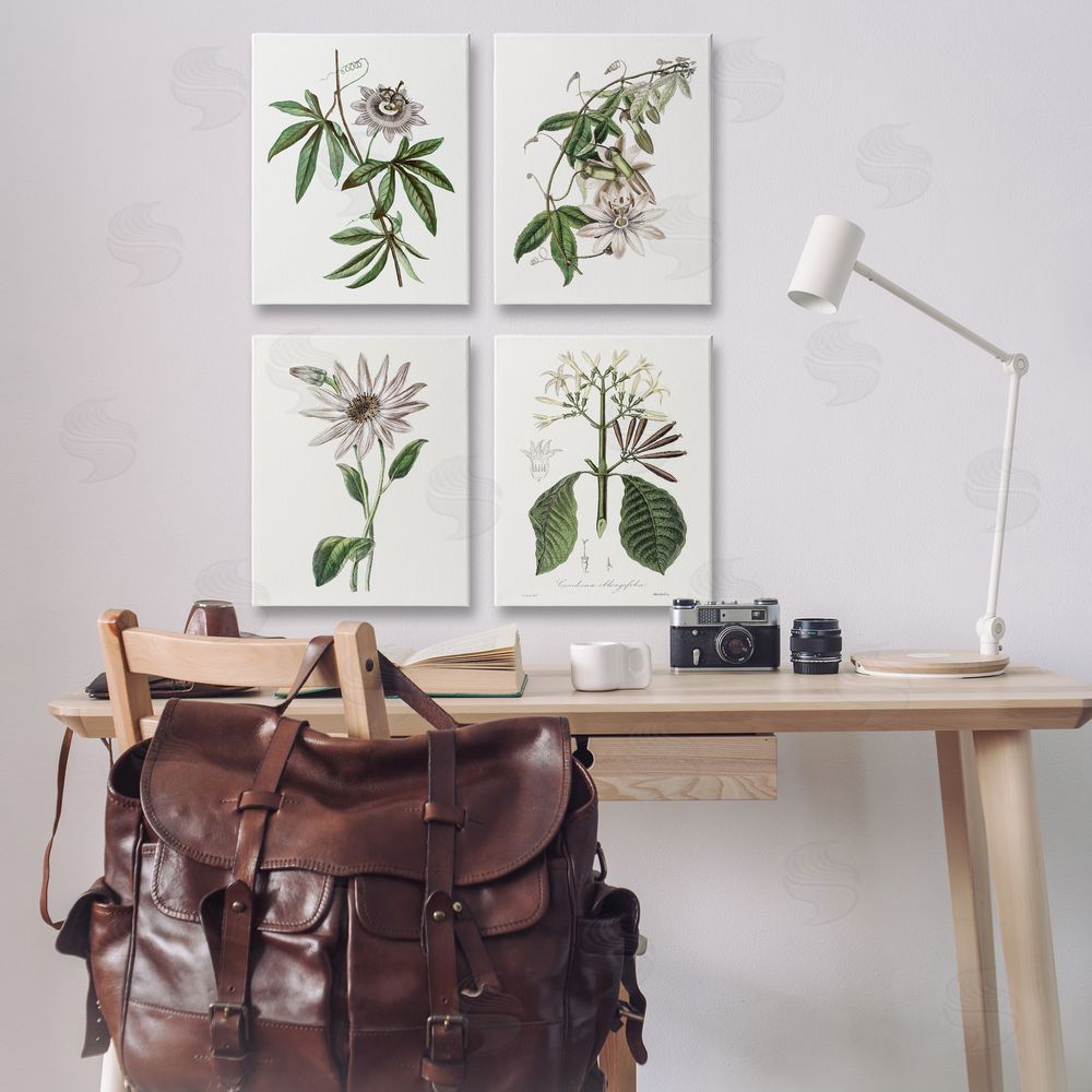 CAD Designs Various Vintage Botanicals Printed Wall Art Set in Room