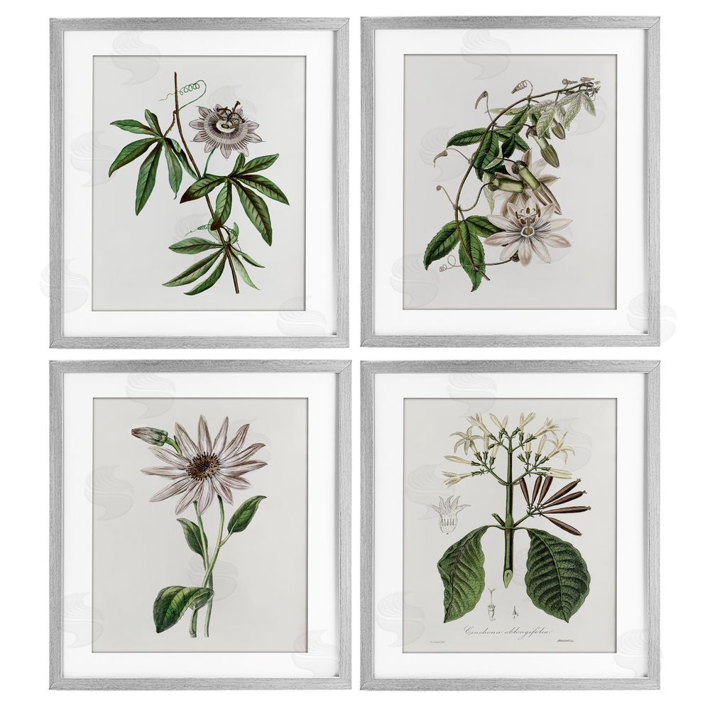 CAD Designs Various Vintage Botanicals Gray Framed Print Under Glass Set