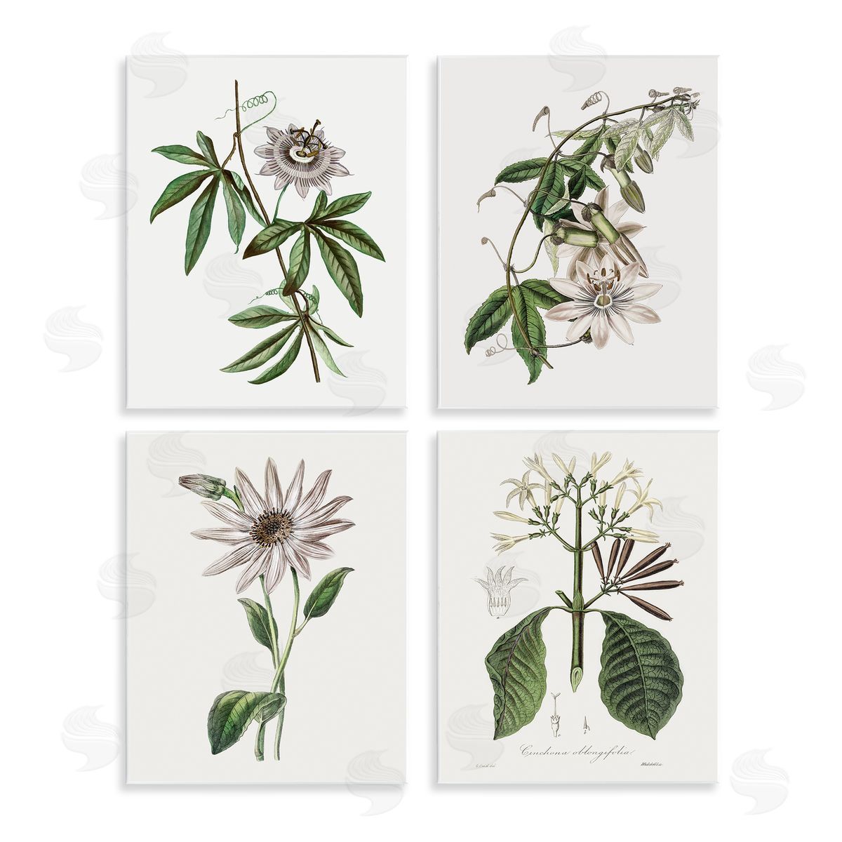 CAD Designs Various Vintage Botanicals Wall Plaque Printed Art Set