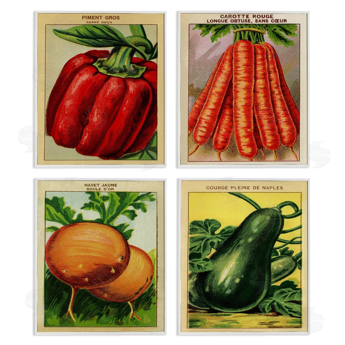Rustic Garden Vegetables White Frame Print Wall Art, Home Decor by Stupell Studio