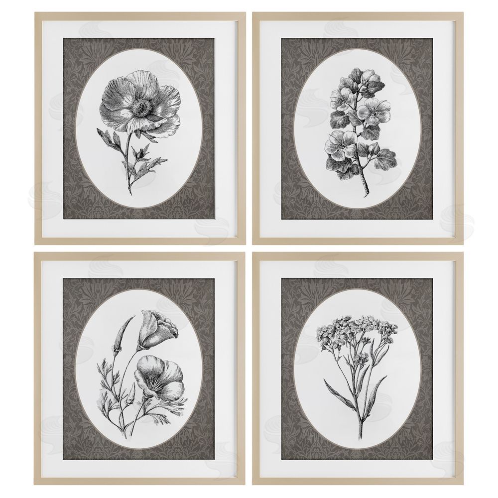 Lettered and Lined Ornate Blooms over Damask Brown Framed Print Under Glass Wall Art