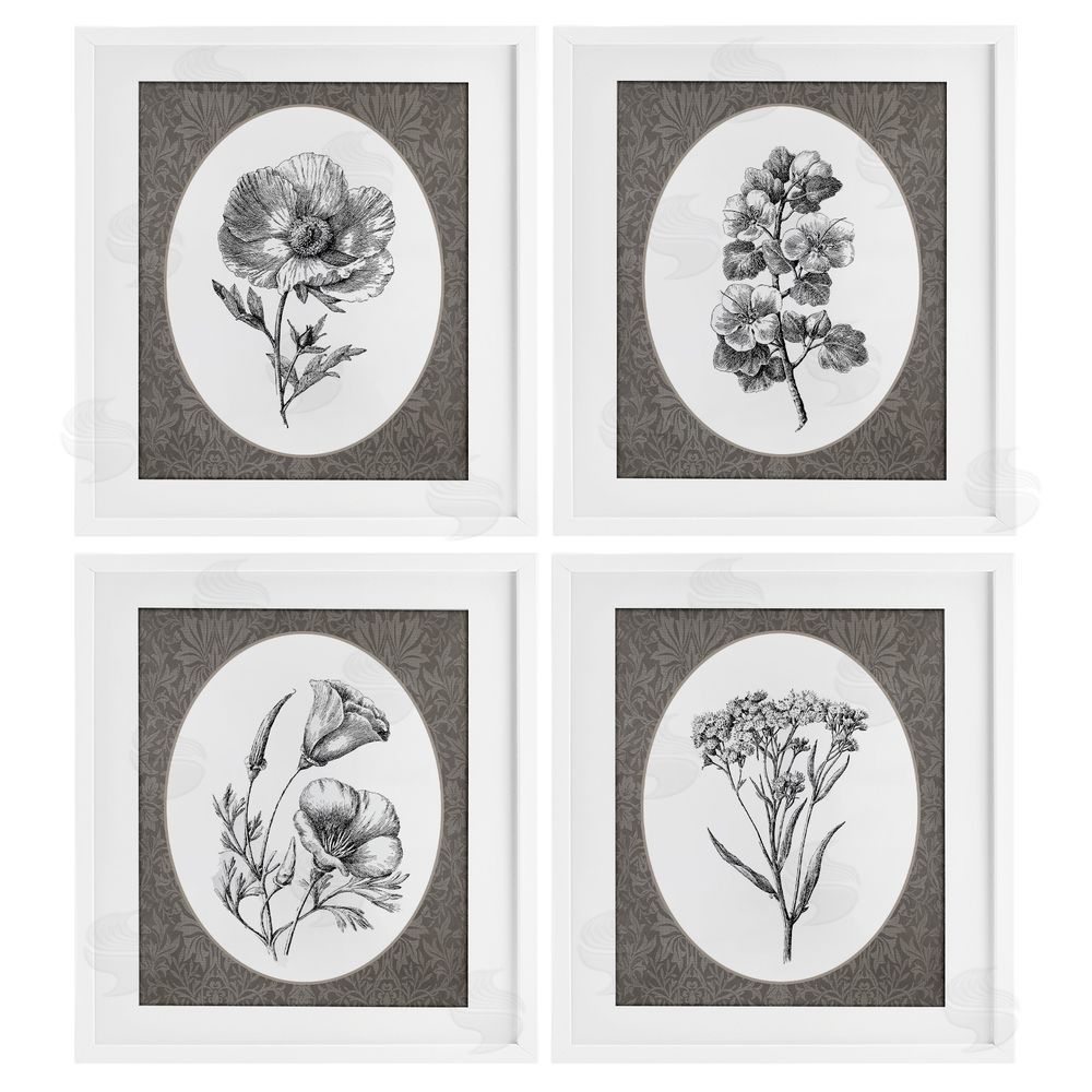 Lettered and Lined Ornate Blooms over Damask White Framed Print Under Glass Wall Art