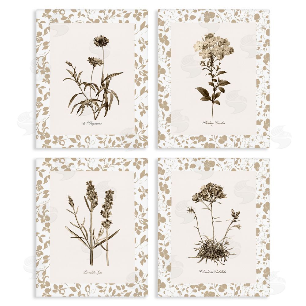 Kelly Donovan Neutral Imperial Flower Studies Stretched Canvas Wall Art Print
