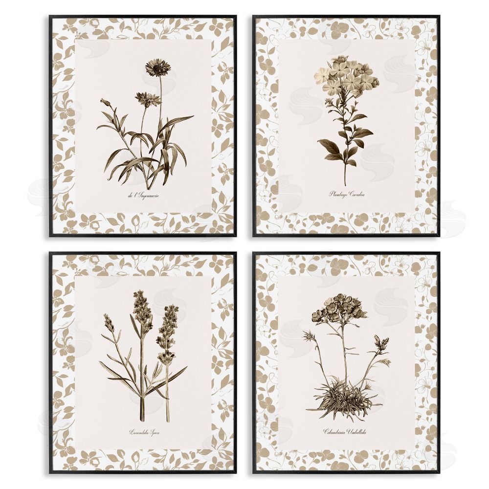Kelly Donovan Neutral Imperial Flower Studies Black Framed Giclee Wall Art Print